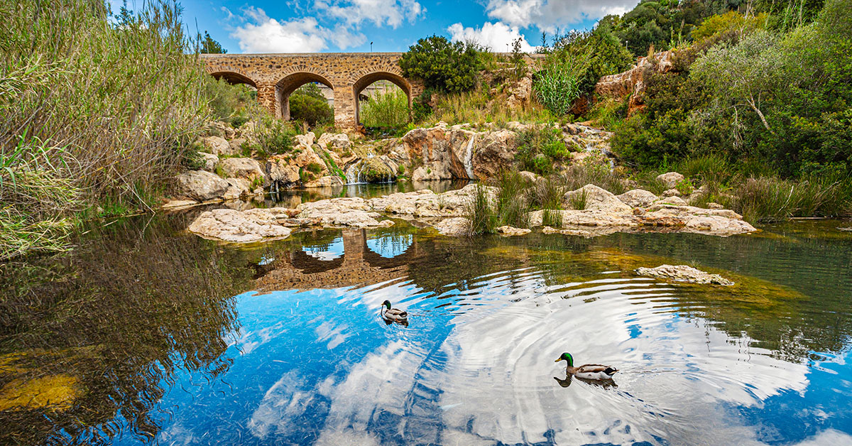 ruta del rio santa eularia con patos